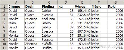 Excel - kontingenční tabulka.