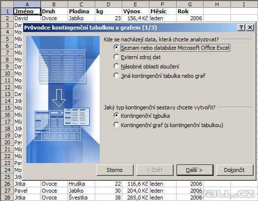 Excel - kontingenční tabulka.