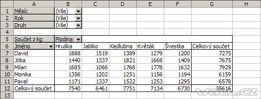 Excel - kontingenční tabulka.