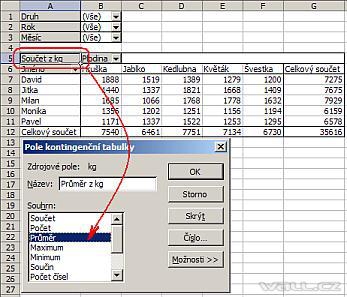 Excel - kontingenční tabulka.