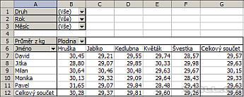 Excel - kontingenční tabulka.