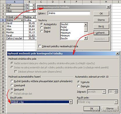 Excel - kontingenční tabulka.