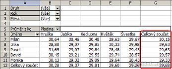 Excel - kontingenční tabulka.