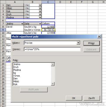 Excel - kontingenční tabulka