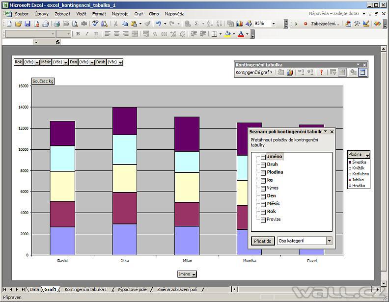 Excel - Kontingenční graf