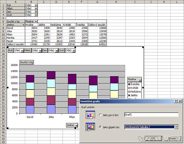 Excel - Kontingenční graf